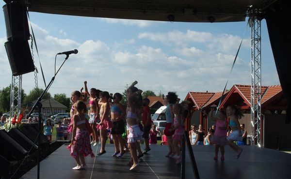 25. Falunap 2014. augusztus 9.