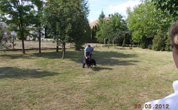 Gyermeknap 2012