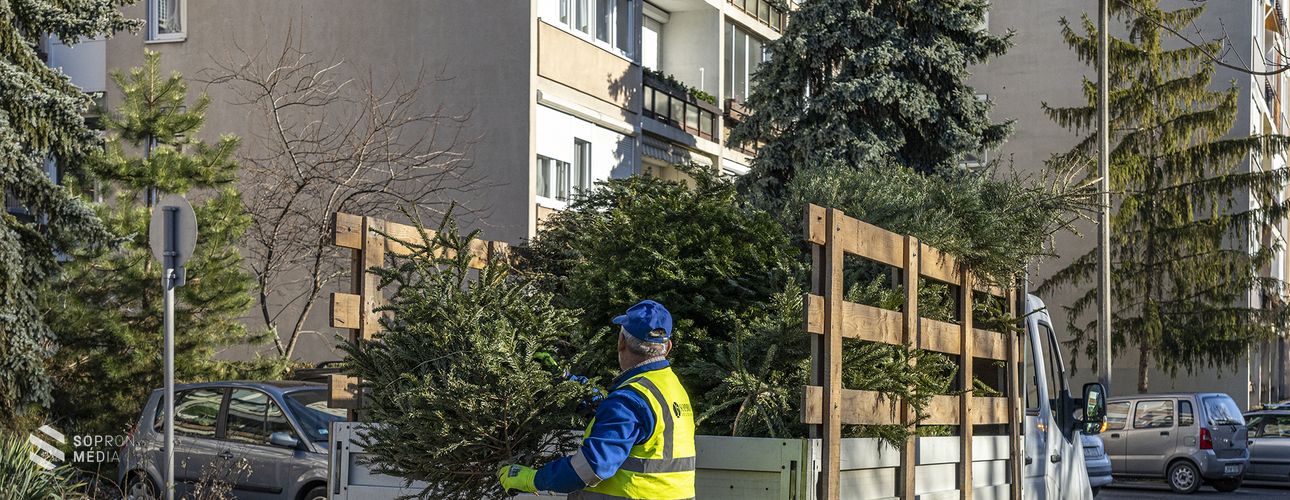Ezeket a karácsonyfa-gyűjtőhelyeket jelölte ki a Sopron Holding idén!