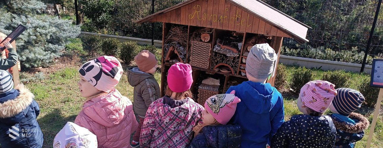 Beporzók napja a Lenck-villa kertjében