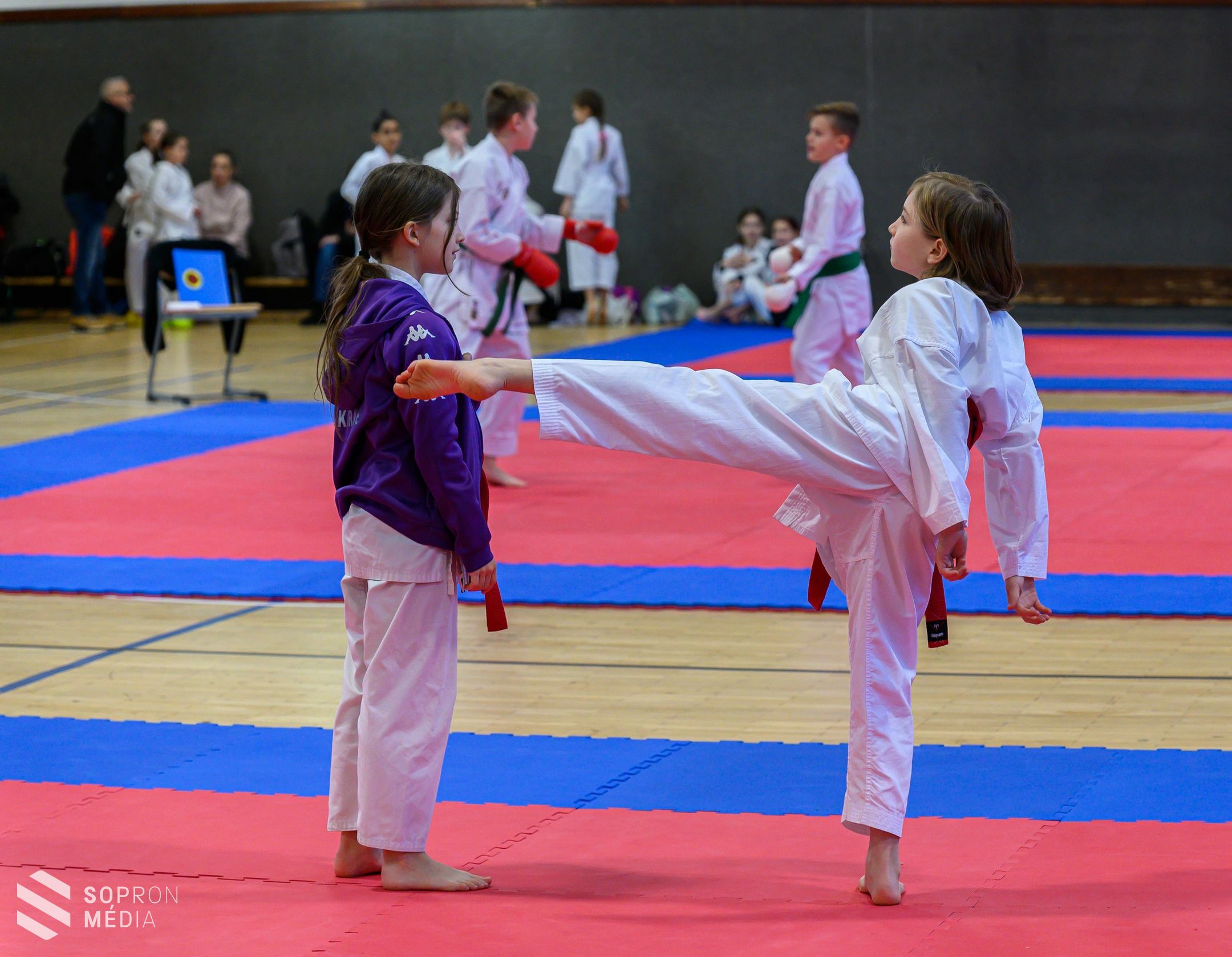 Hagyományos Shotokan Tigrisek Kupa