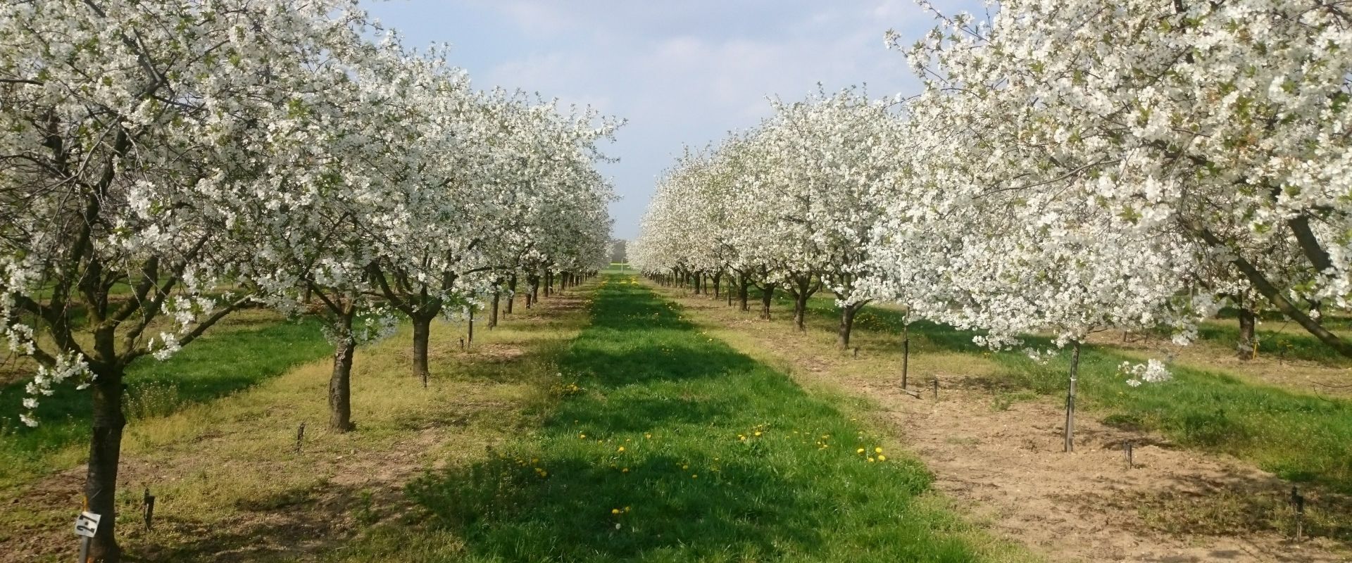 Agrofil-SZMI Kft.