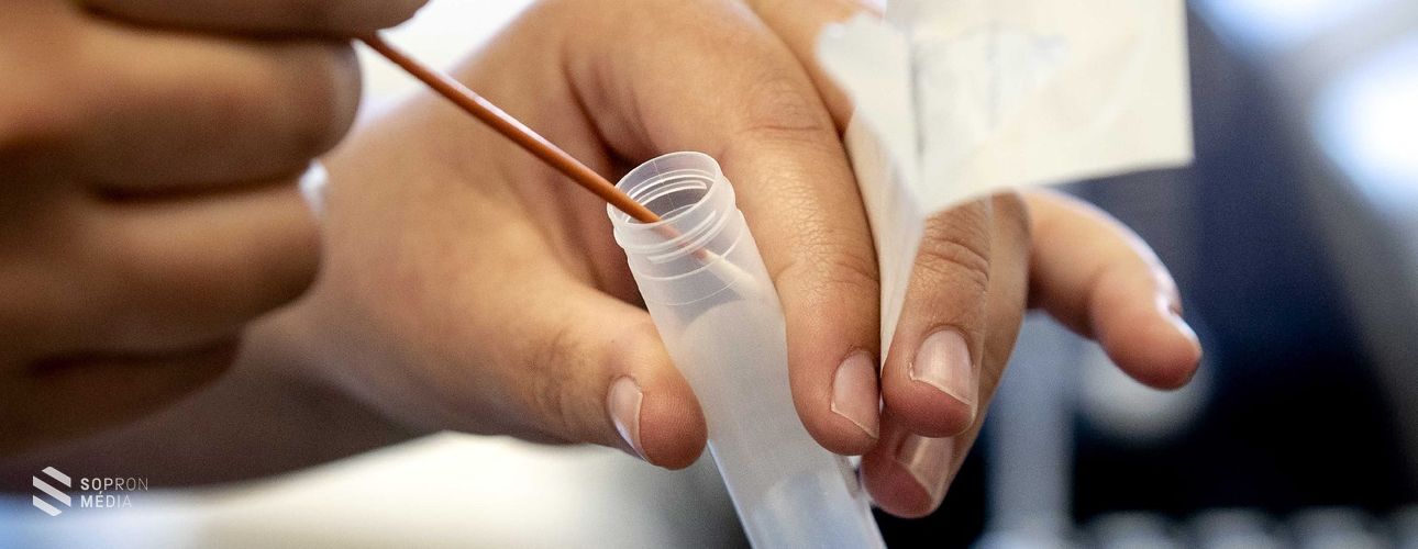 Legkorábban ősz végére elkészülhet a vírus elleni oltóanyag