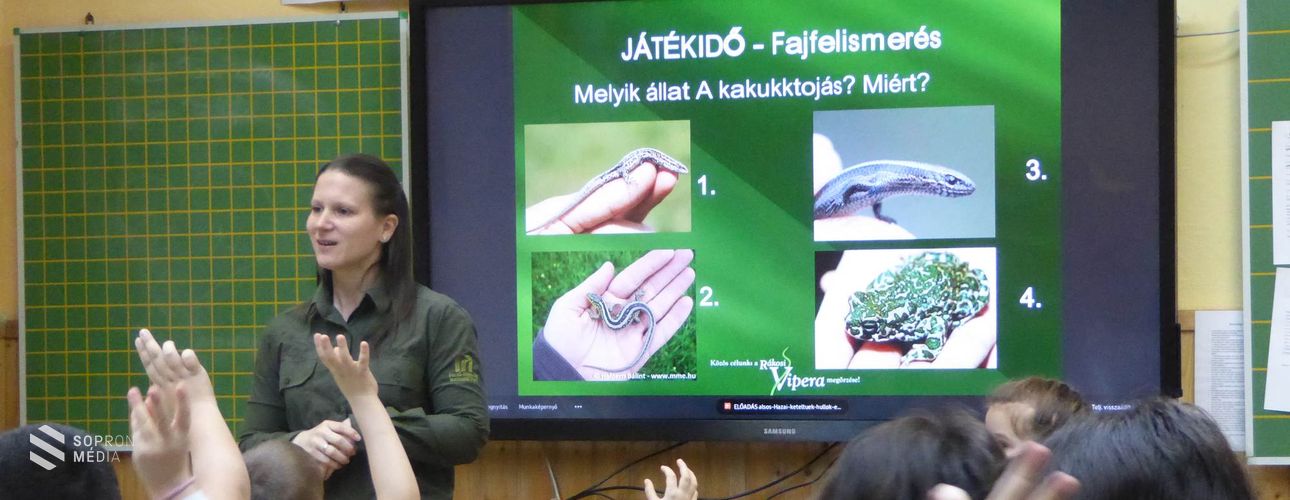 Népszerűsítették a rákosi viperát az iskolások és óvodások körében