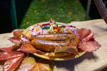 Vonyarcvashegy