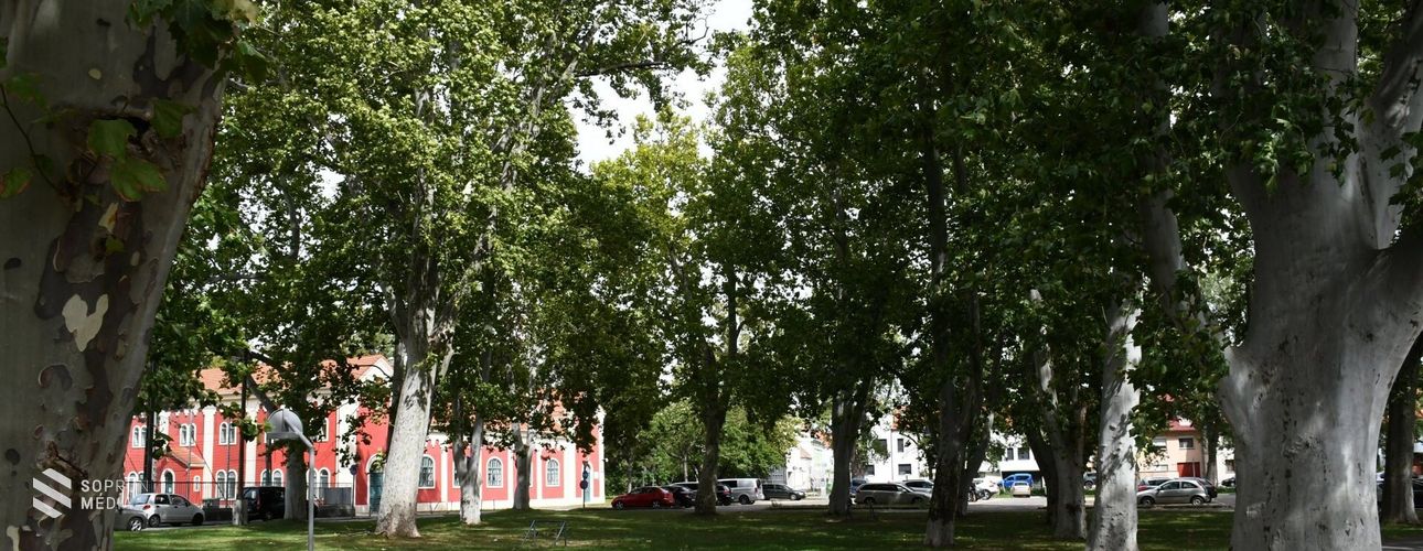 Paprét: egy nem mindennapi elnevezésű, jellegzetes soproni tér