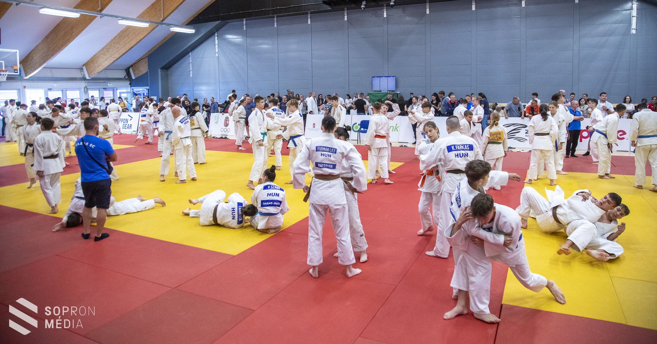 A judoé volt a főszerep a Novomatic Arénában