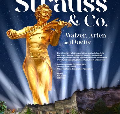 Strauss & Co.