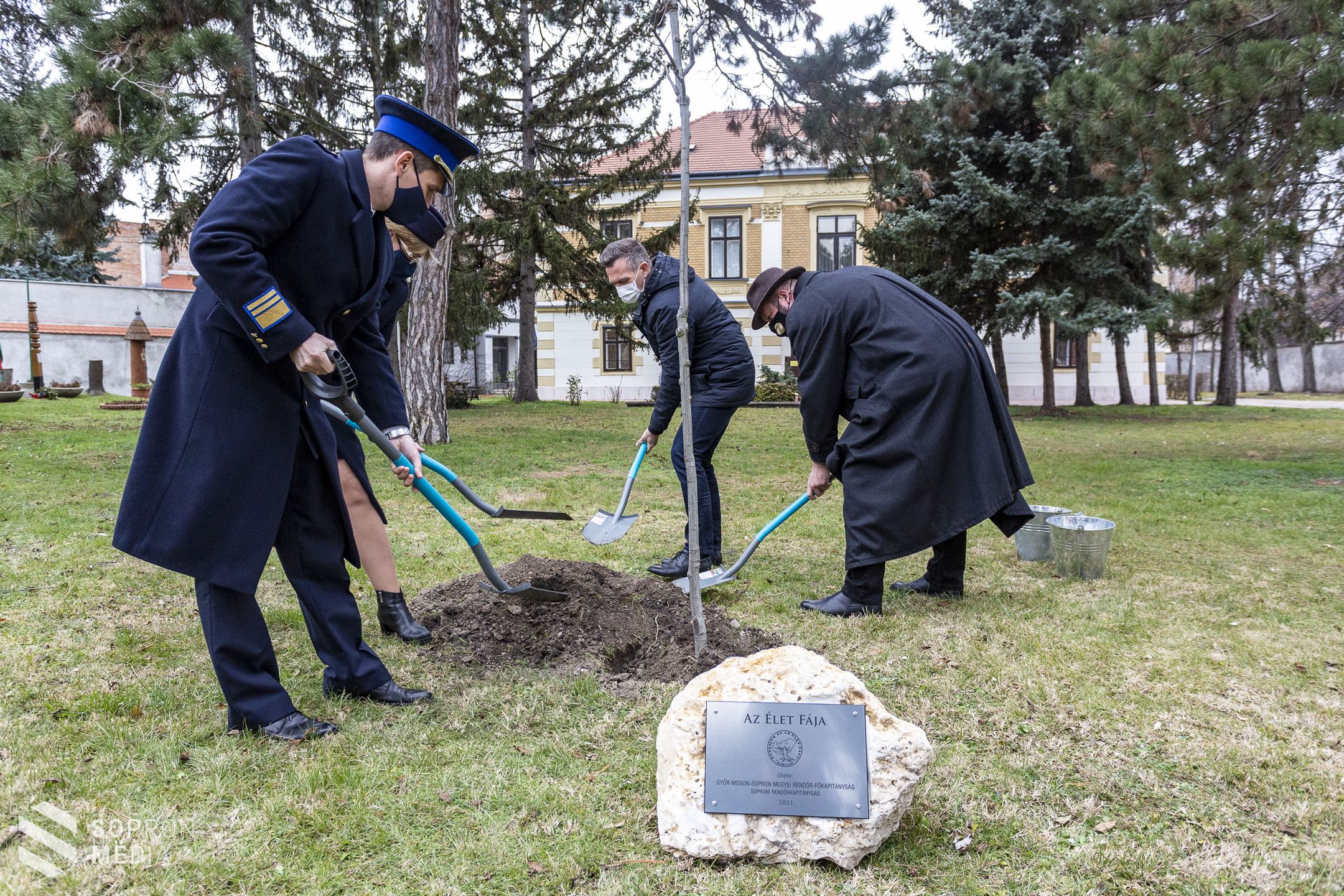 Az élet fáját ültették el Sopronban!