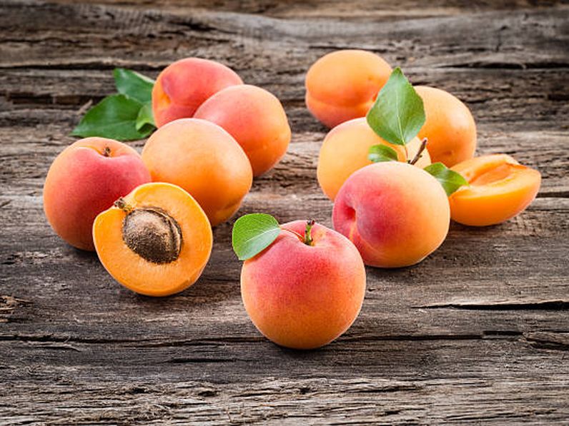 Immunrendszerünk erősítője: a sárgabarack