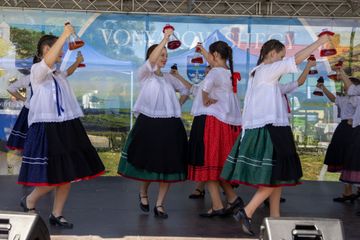 Vonyarcvashegy