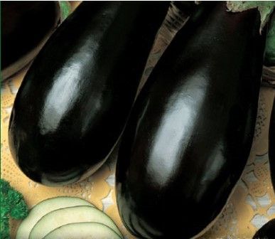 Tojásgyümölcs Néro 25g termék képe