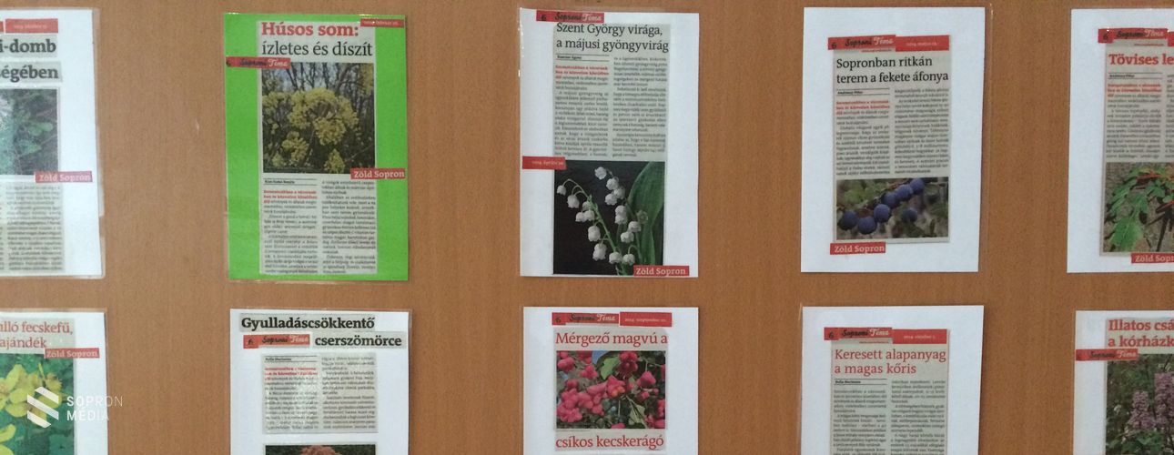 Sopron természeti kincsei