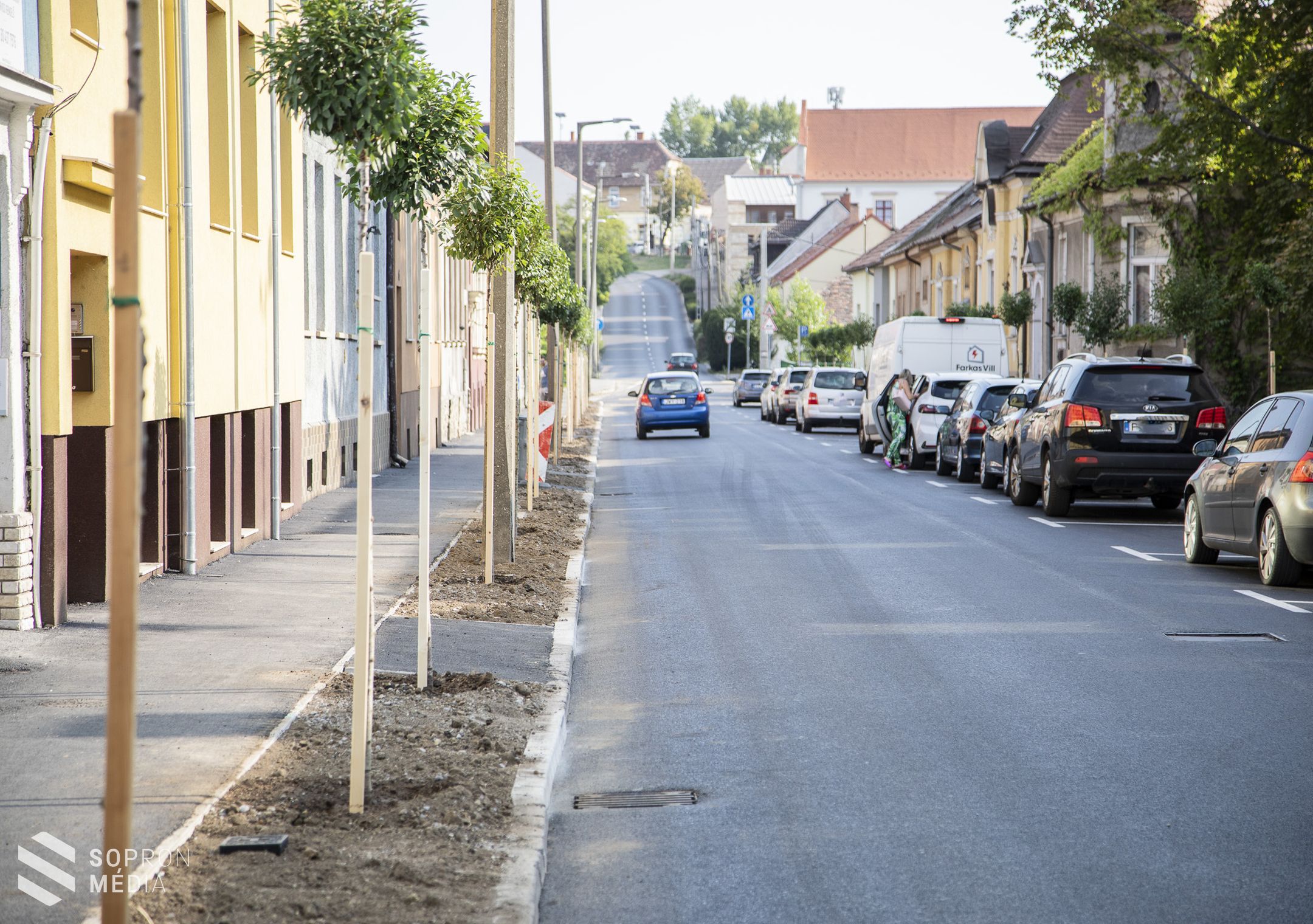 41 darab új fát ültettek a Patak utcában