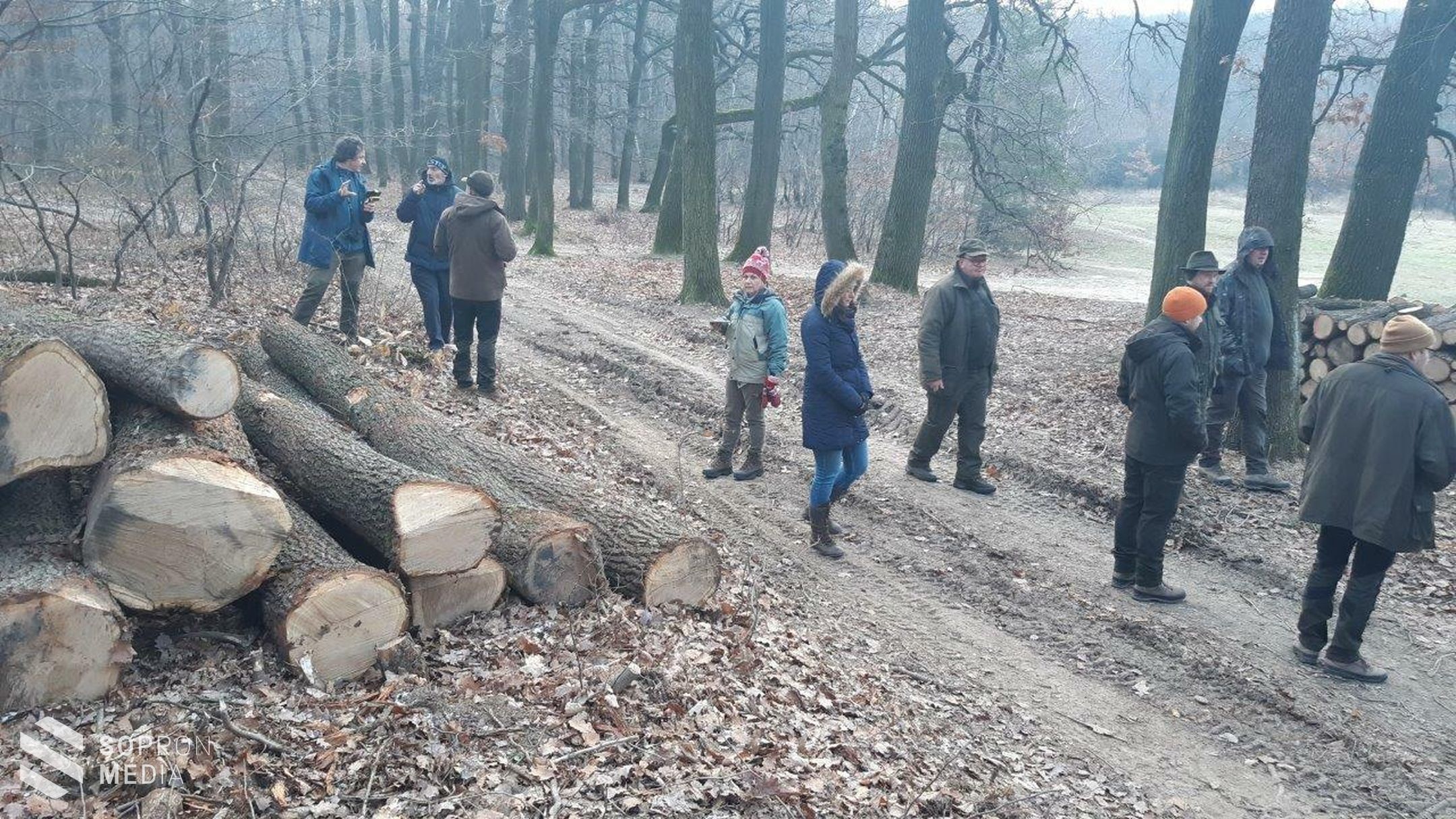 Ismét egy szakmai program helyszíne volt a soproni erdő