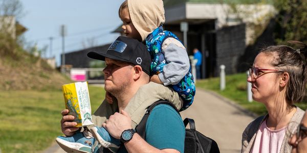 Itt szalad a nyulacska!