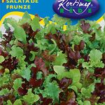 Saláta Baby leaf trio 3x1g termék képe