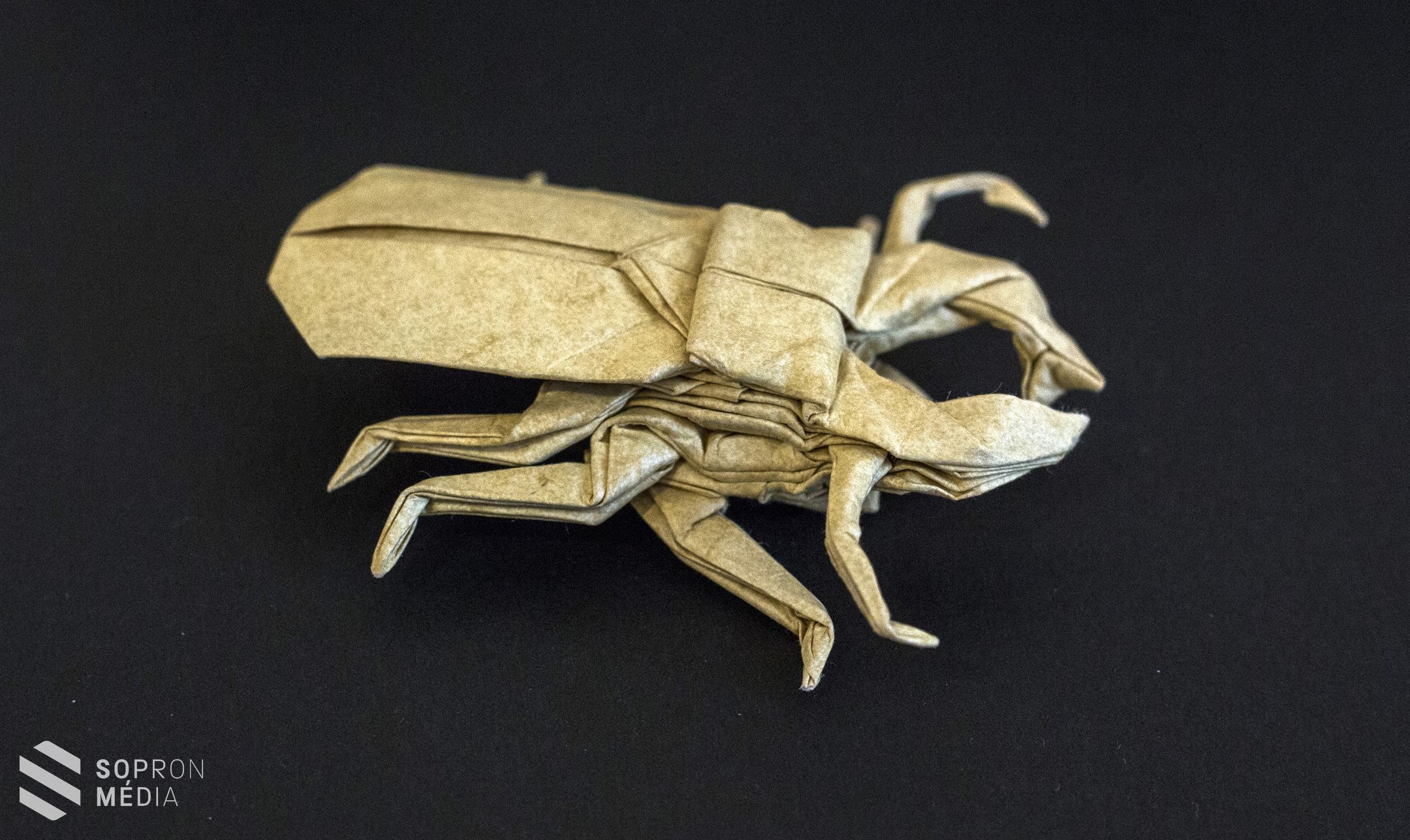 Az Origami Csodálatos Világa