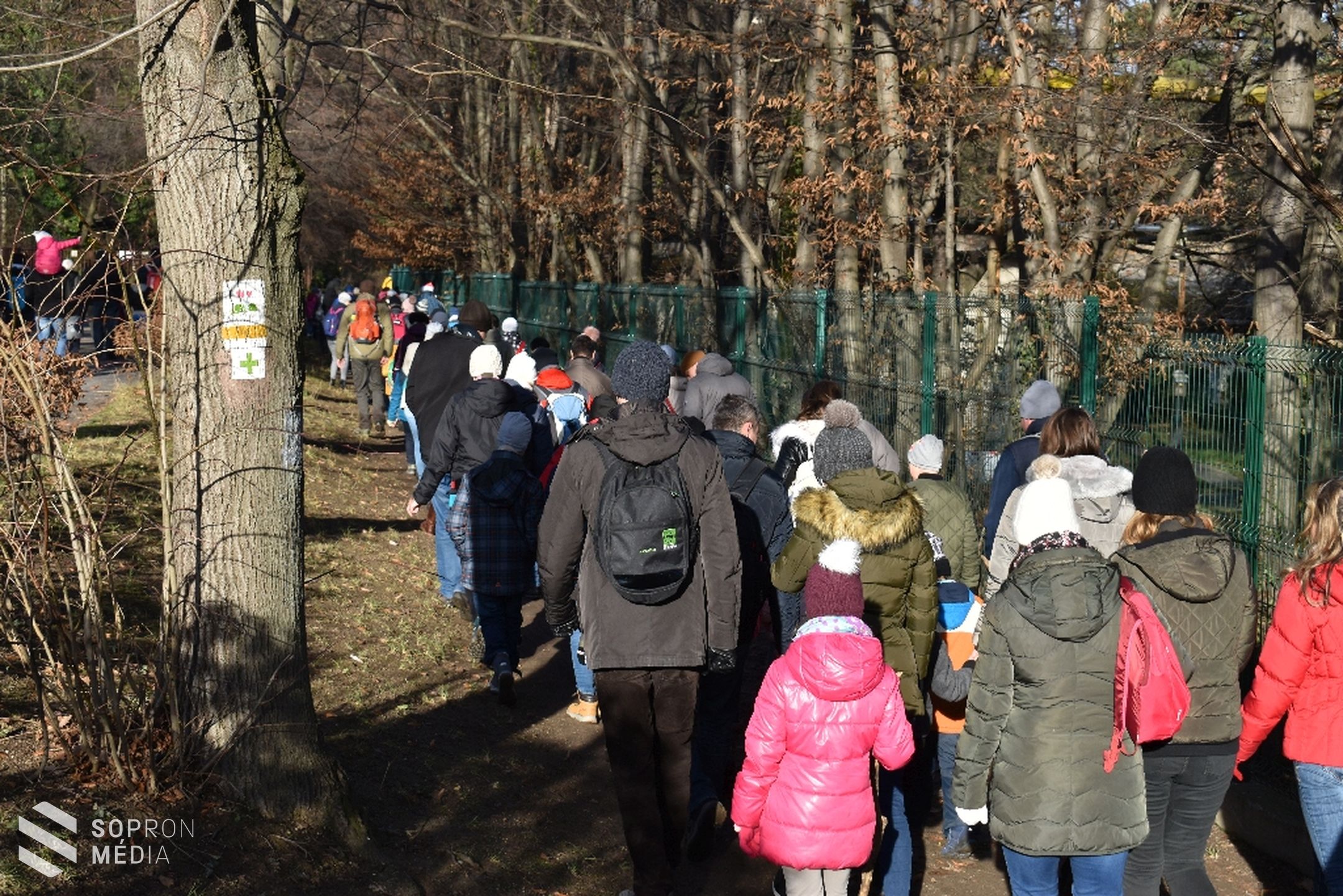 170 gyermeket lepett meg a TAEG Zrt. Mikulása
