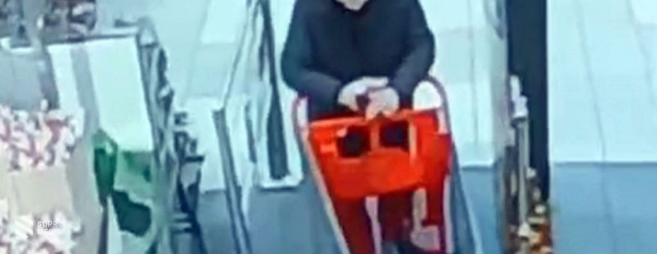 Pénztárcát lopott, felismeri?