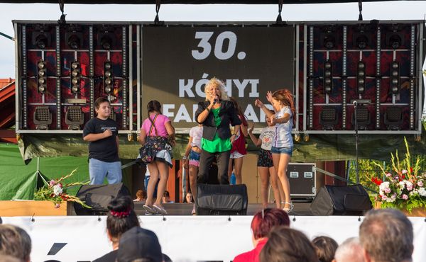 30. Falunap 2019. augusztus 3.