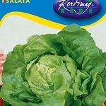 Saláta Safir  2 g termék képe