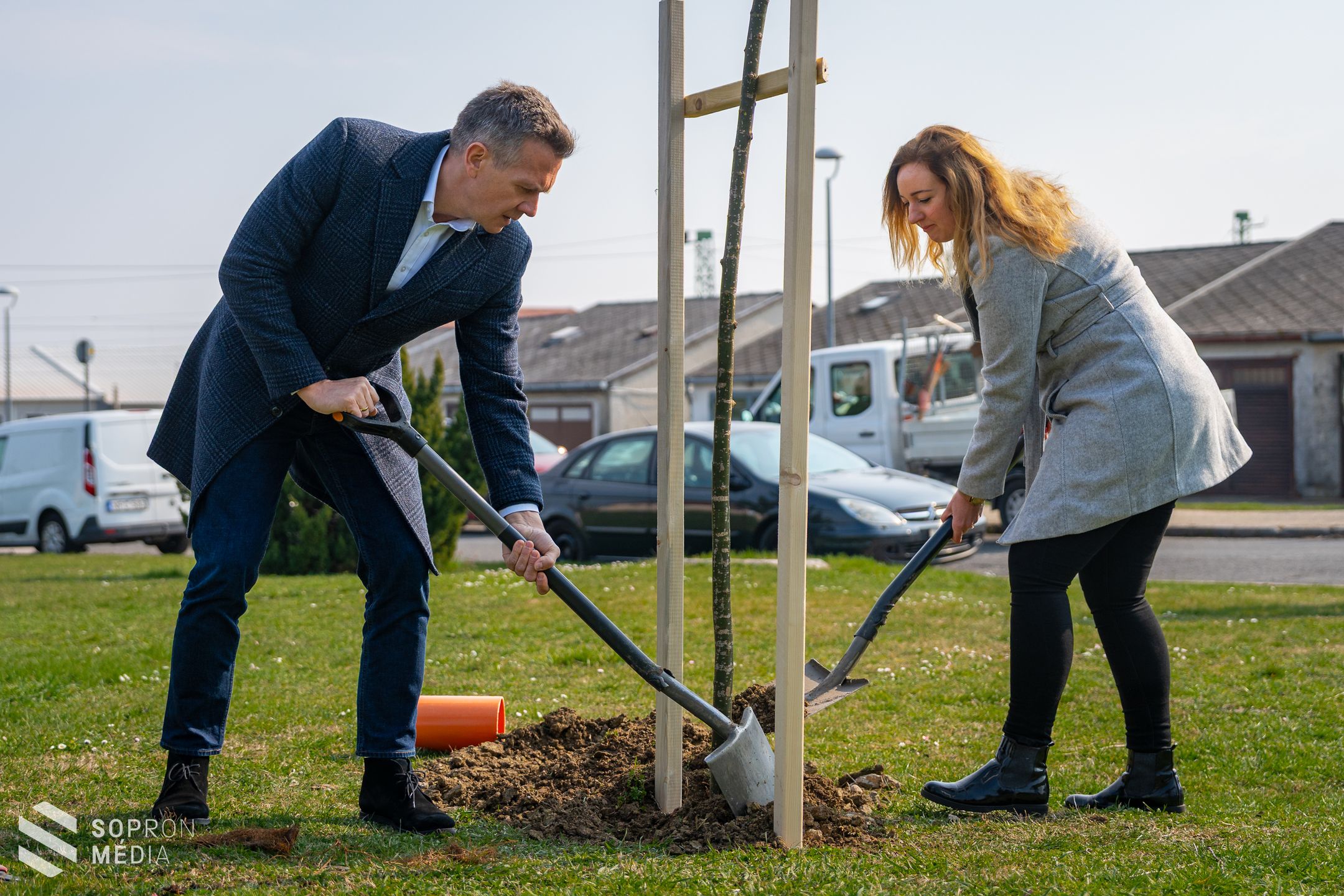 Faültetési program: 12 új fával gazdagodott a Kőszegi út