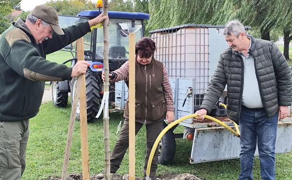 I. KÓNYI CIVIL NAP, 2025. október 11.