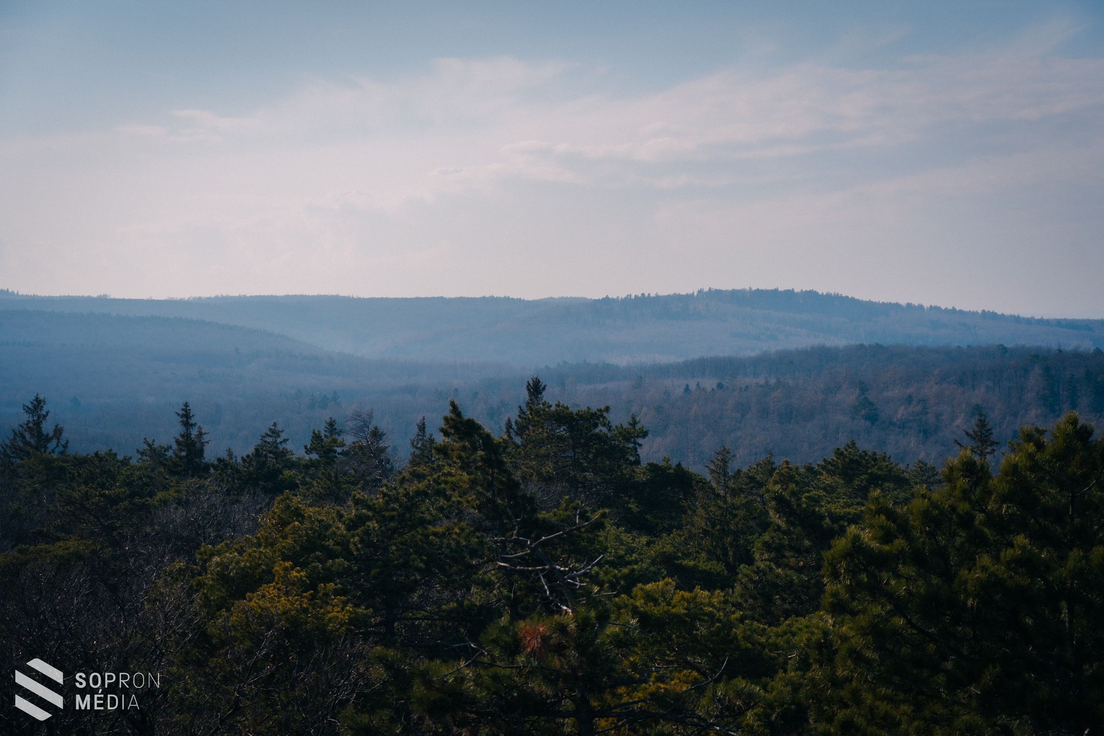 Március huszonegyedike az erdők világnapja