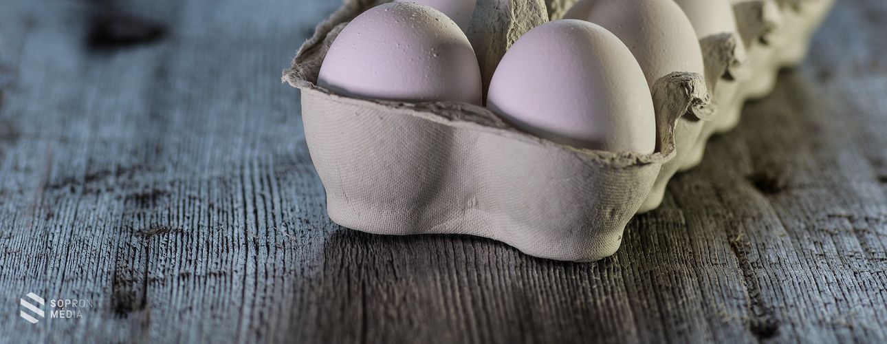 Előfordultak szabálytalanságok a tavaszi élelmiszermustrán
