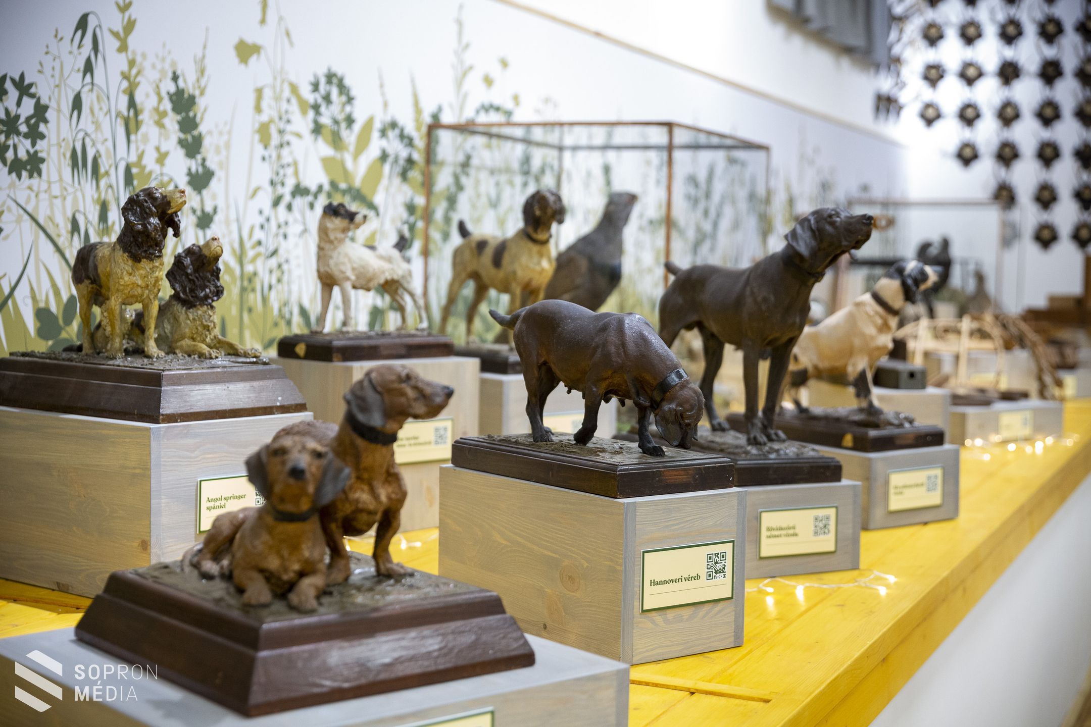 Átadták a Soproni Egyetem megújult Vadgazdálkodási Gyűjteményét