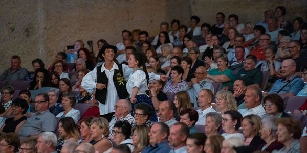 Sissi, a magyar királyné