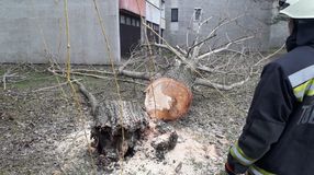 Így előzheti meg a jelentősebb viharkárokat!