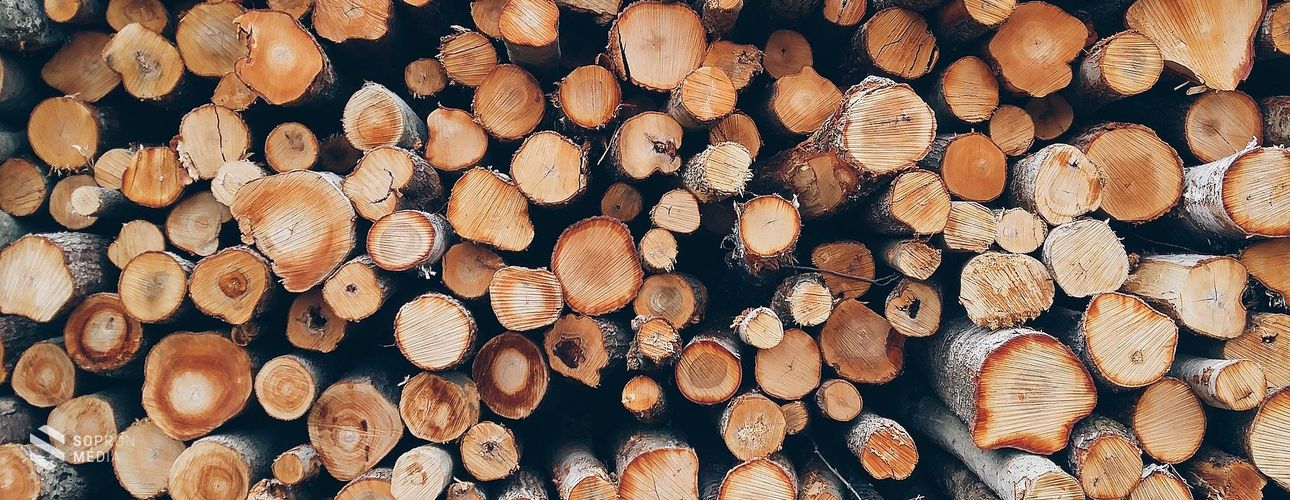 A rászorulókat segíti majd a lefoglalt, illegális eredetű tűzifa