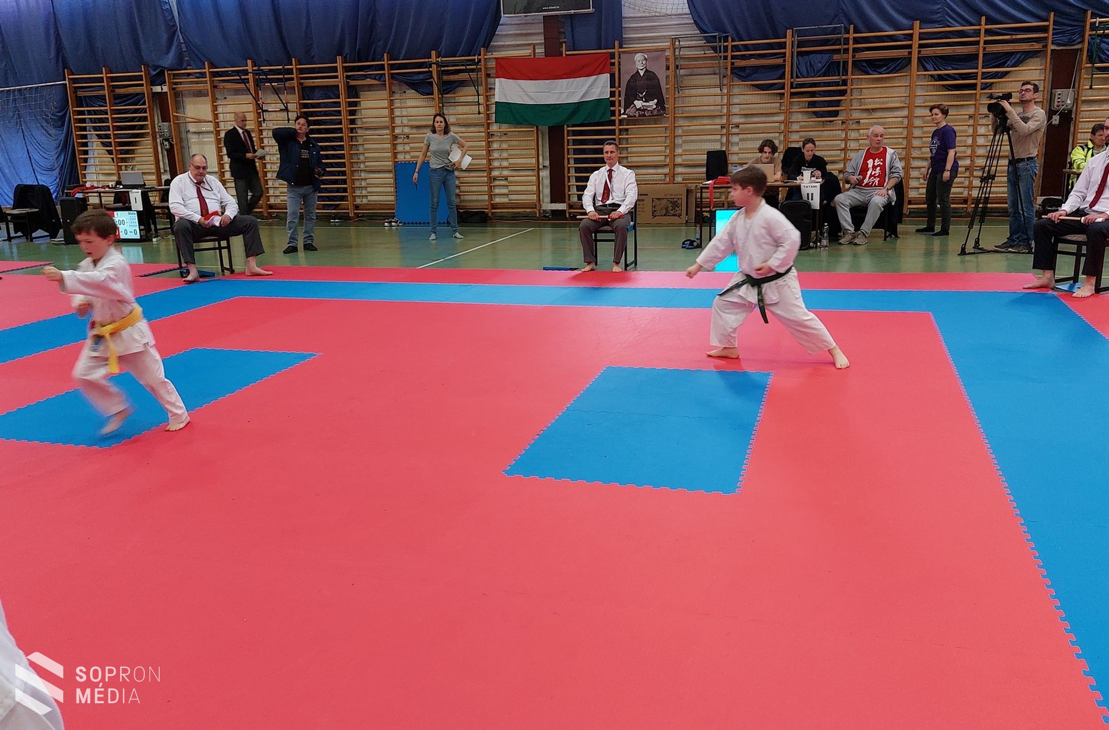 Shotokan Tigrisek-sikerek