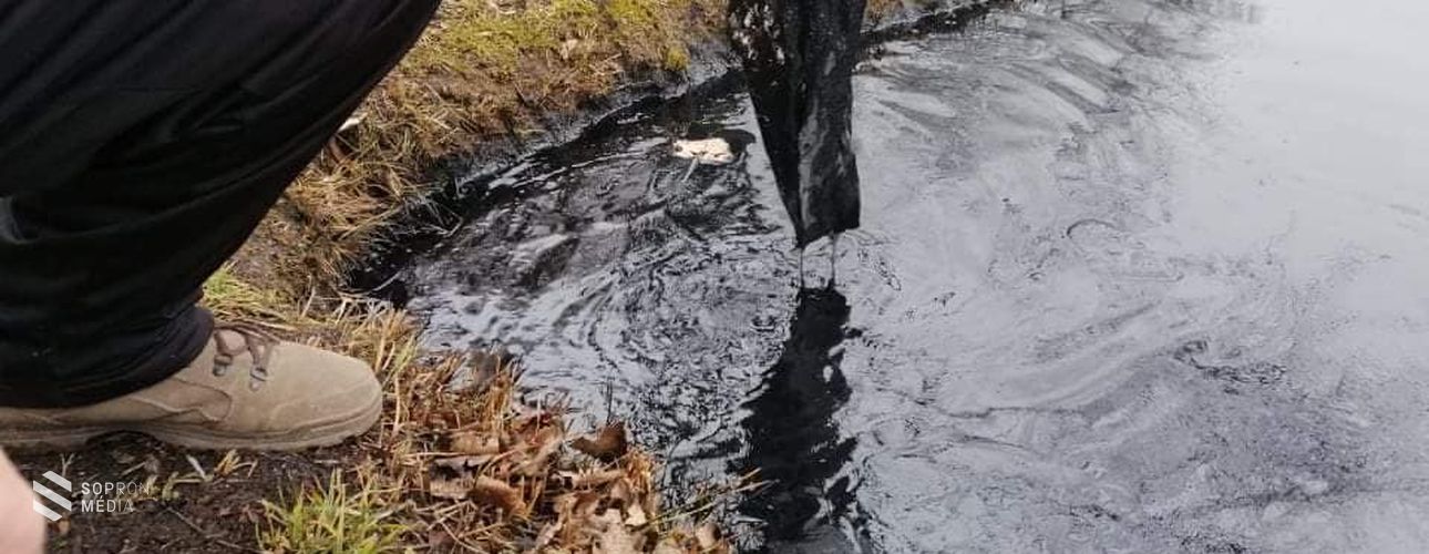 Olajat öntöttek a jereváni Ibolya-tóba