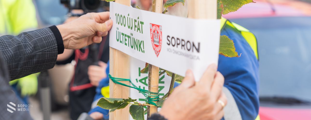 Újabb pontjához érkezett az „1000 új fát ültetünk” program