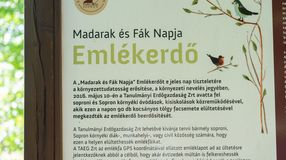 10 éves a Madarak és Fák Napja Emlékerdő Sopronban - elültették az utolsó meggyfát