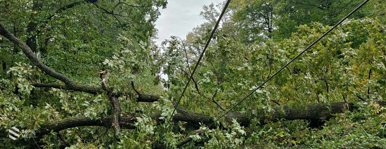Sopronban és Kópházán is áramszünetet okozott a viharos időjárás
