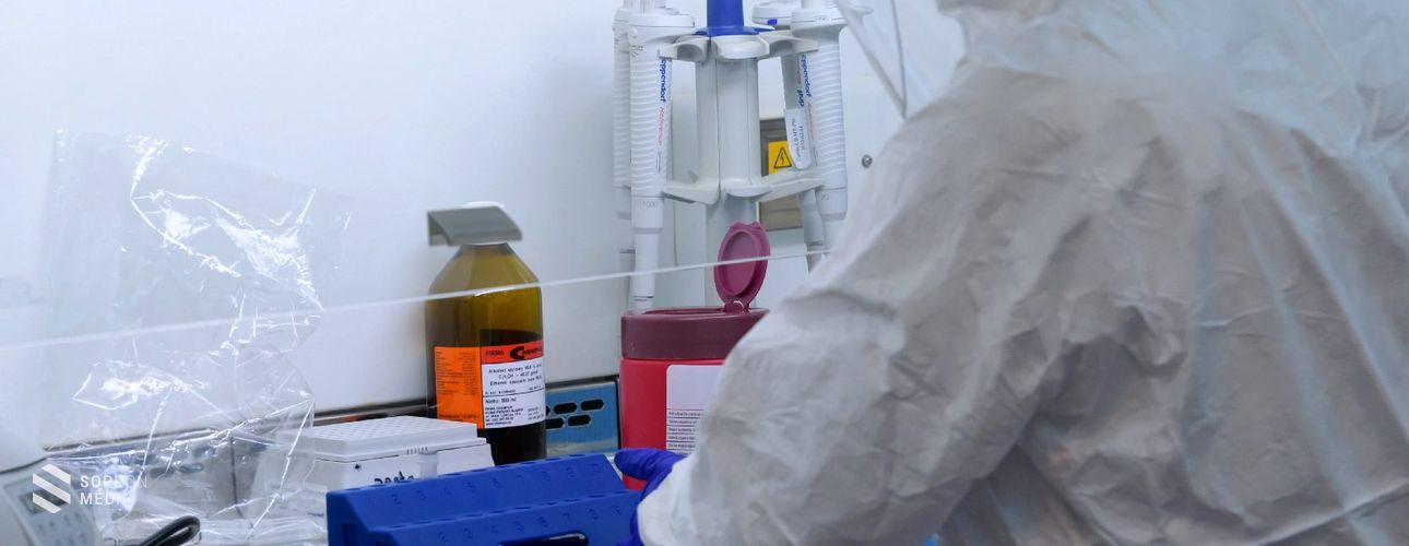 Elkészült az első hazai fejlesztésű Covid-teszt