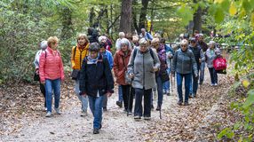 Idősek világnapja és szív világnapja – A jeles dátumok előtti tisztelgésként gyalogtúrát szerveztek a parkerdőben