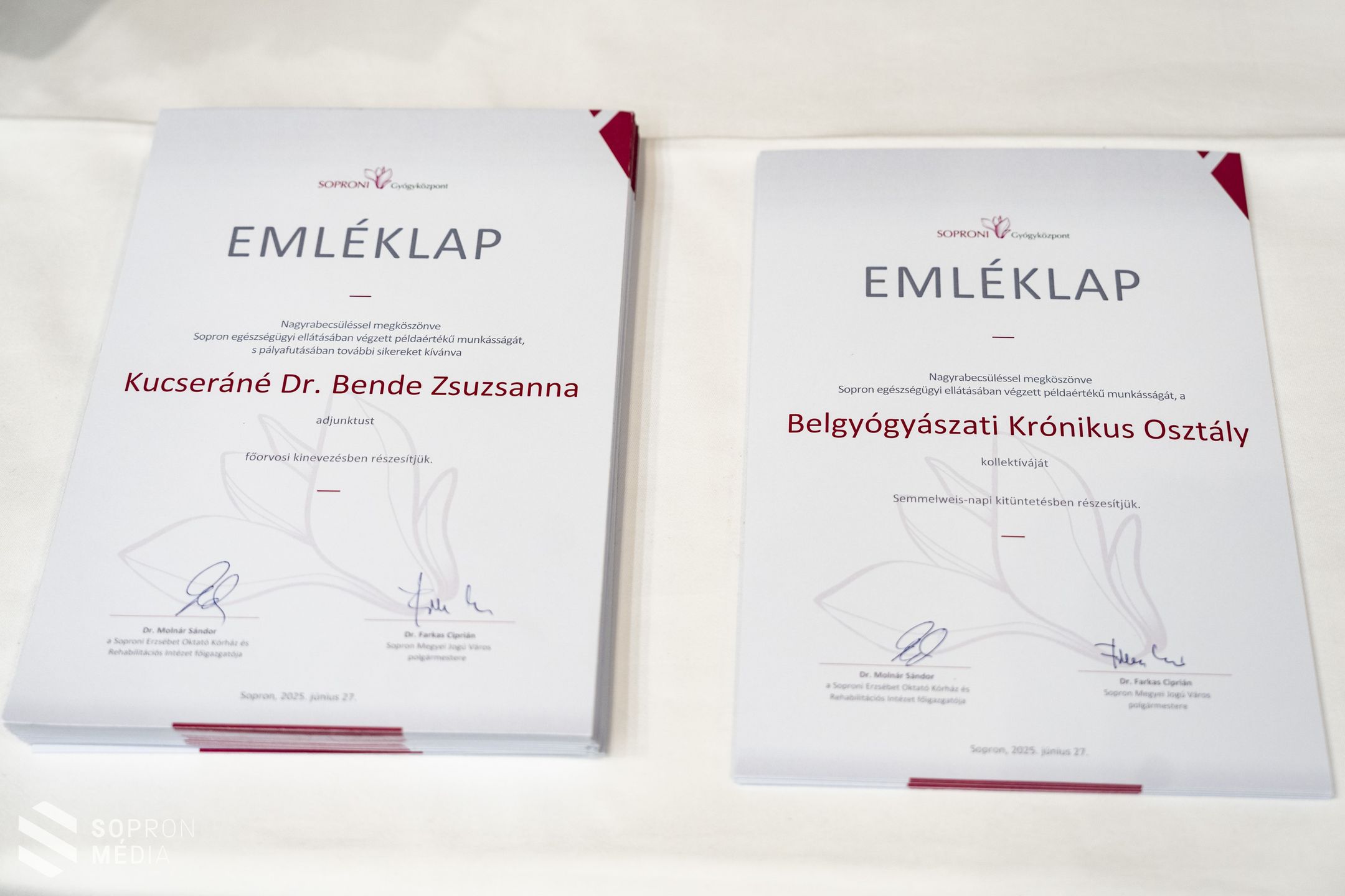 Az egészségügyben dolgozókat köszöntötték a Semmelweis-napi ünnepségen