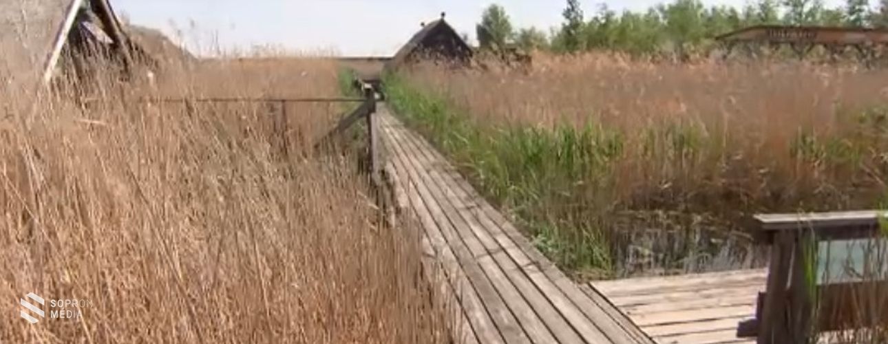 Magyar nőé a Fertőben talált holttest