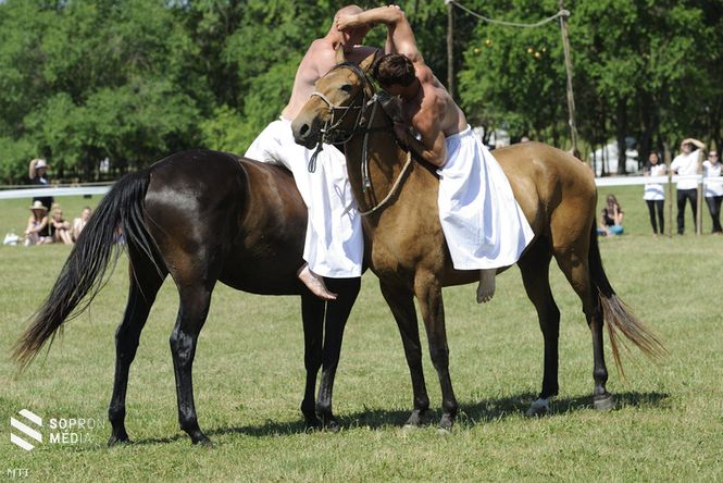 A későbbi győztes Cseppentő Regő és Huszár Mátyás birkóznak lóháton az Ópusztaszeri Nemzeti Történeti Emlékparkban rendezett pünkösdikirály-választáson 2014. június 9-én.