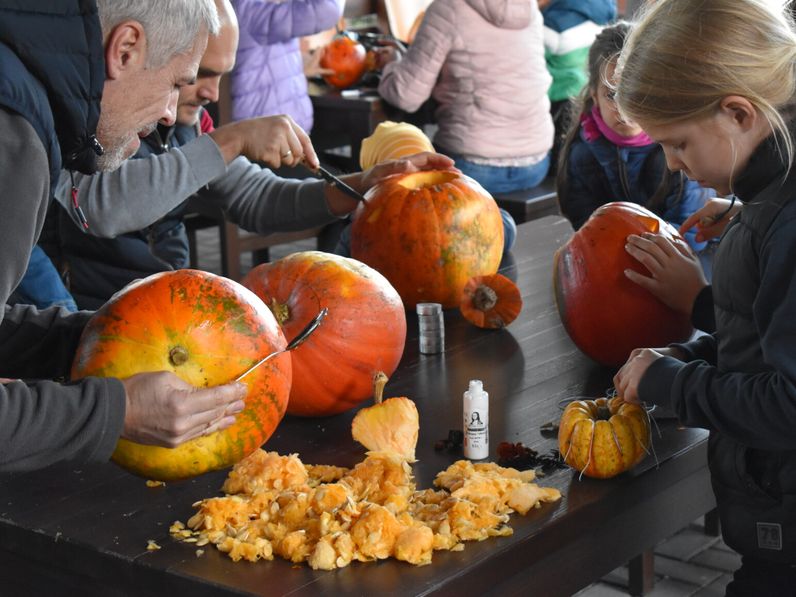 "Tökfesztivál" az Erdő Házában