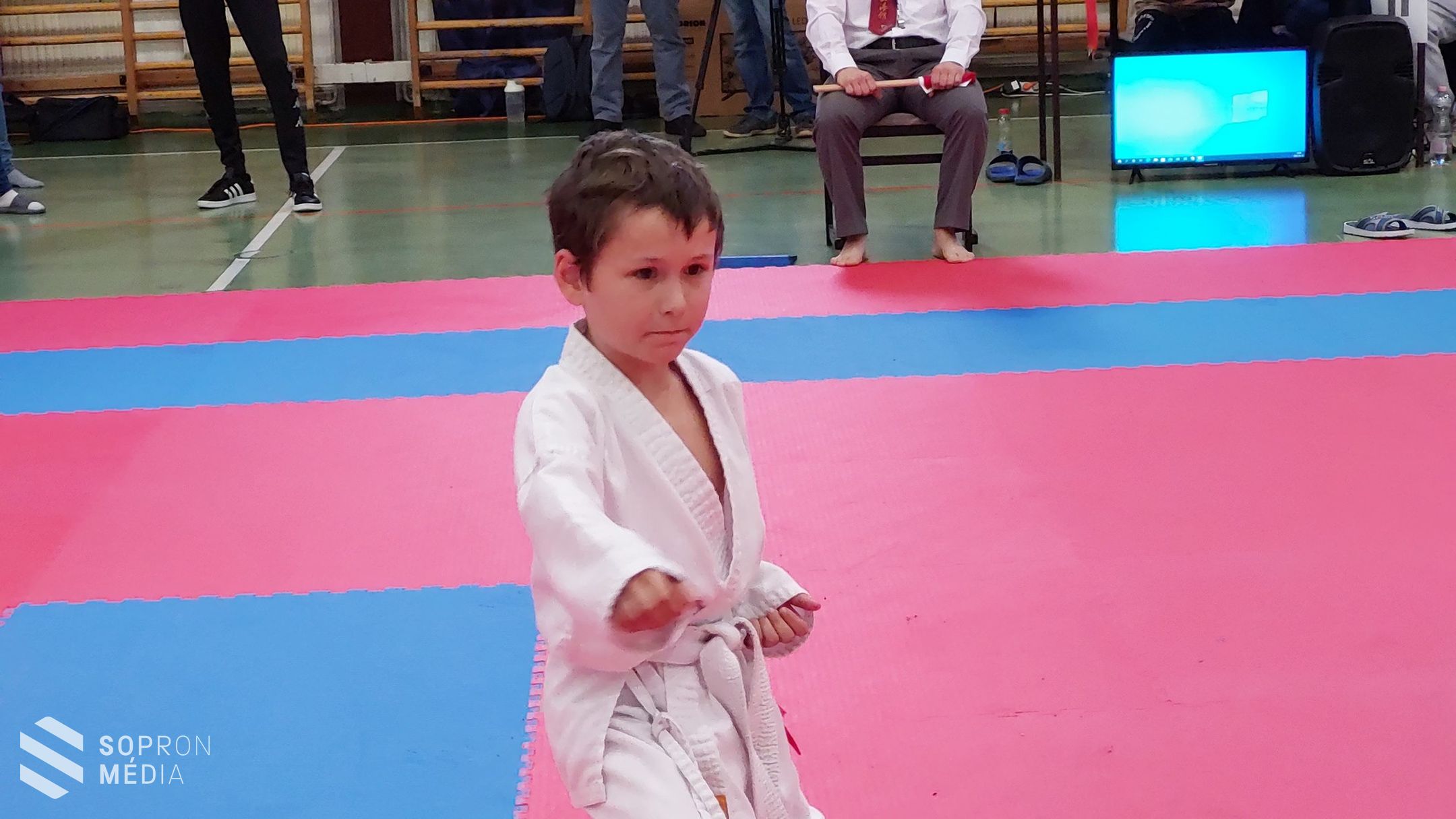 Shotokan Tigrisek-sikerek