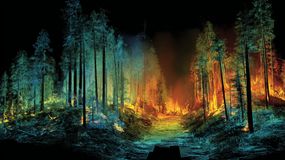 Digitális pajzs az erdőknek: Tűzszimulátort fejlesztett a Soproni Egyetem