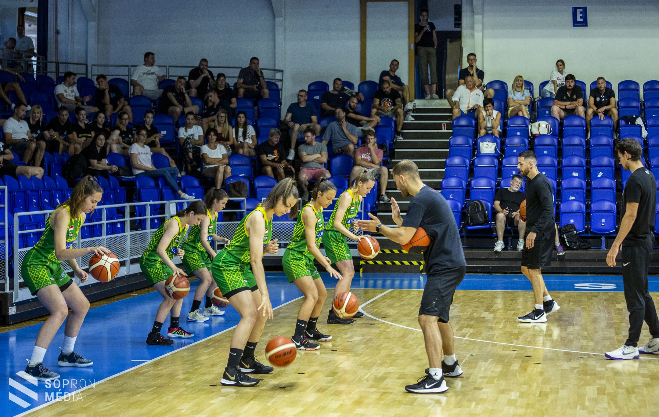 Továbbképzést szervezett az edzőknek a Soproni Darazsak Sportakadémia 
