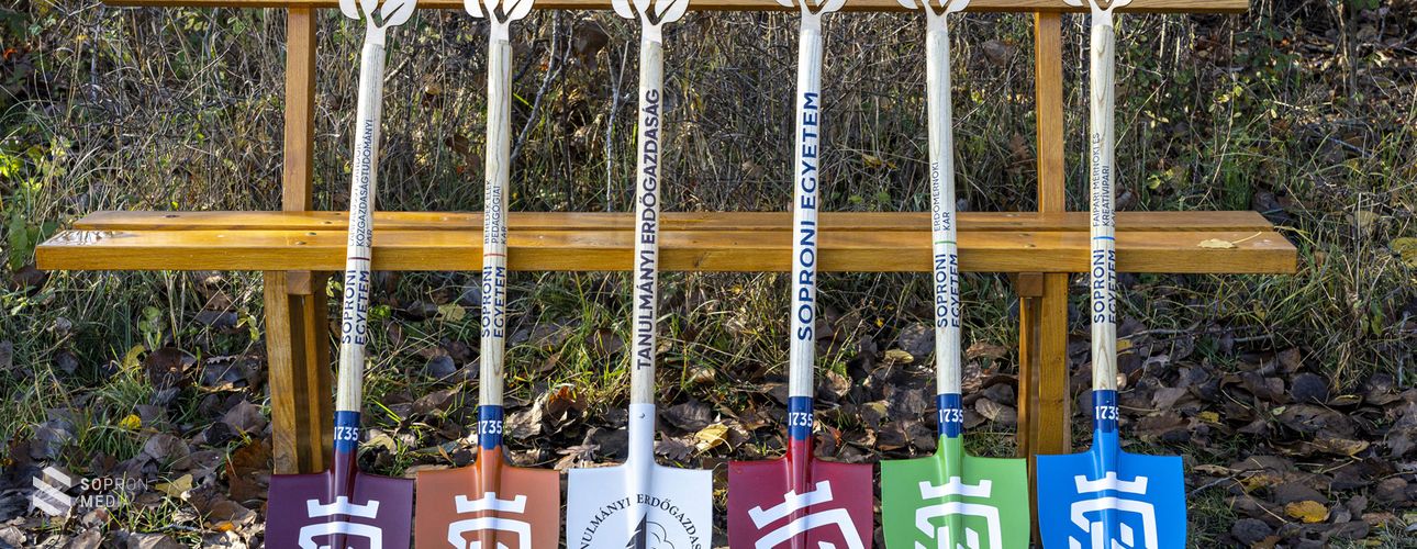 Közel 800 facsemetével gazdagodott a Hűség-erdő