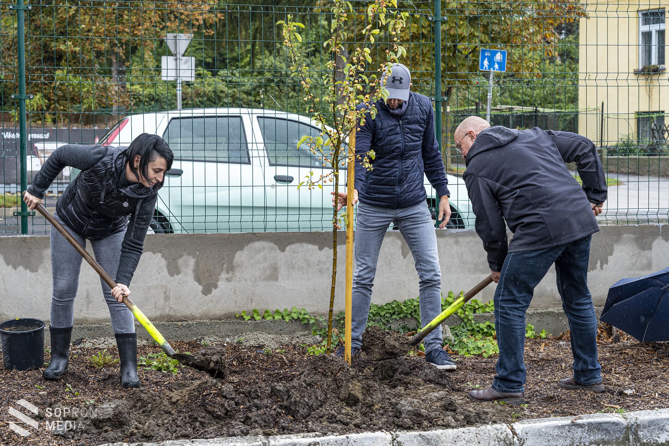 GYSEV jubileum – 150 fát ültet el vonalhálózata mentén a vasúttársaság